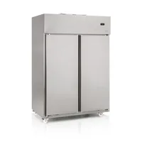 CONSERVADOR COMERCIAL PARA CONGELADOS 2 PORTAS GELOPAR GCCS-2P TI