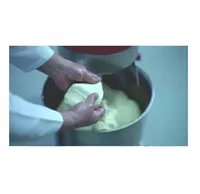 AMASSADEIRA ESPIRAL 3 VELOCIDADES PARA 15KG DE MASSA G PANIZ AE-15 G2