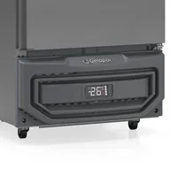 CONGELADOR PARA CANECAS DE CHOPP 578L GELOPAR GGC-57 TI
