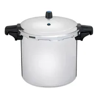PANELA DE PRESSÃO ETERNA PROFISSIONAL 20 LITROS NIGRO