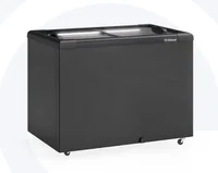 CONSERVADOR PLANO VIDRO RETO DESLIZANTE GHD-300-L-PR