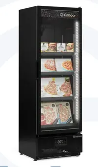 CONSERVADOR VERTICAL CONVENIÊNCIA GCVC-45/GELOPAR
